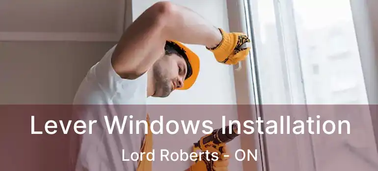  Lever Windows Installation Lord Roberts - ON