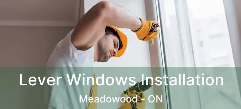  Lever Windows Installation Meadowood - ON