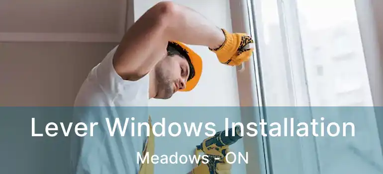 Lever Windows Installation Meadows - ON