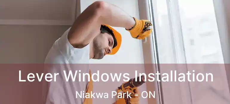  Lever Windows Installation Niakwa Park - ON