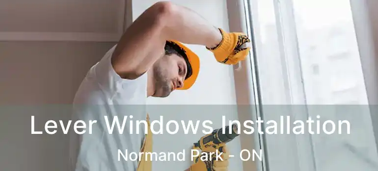  Lever Windows Installation Normand Park - ON