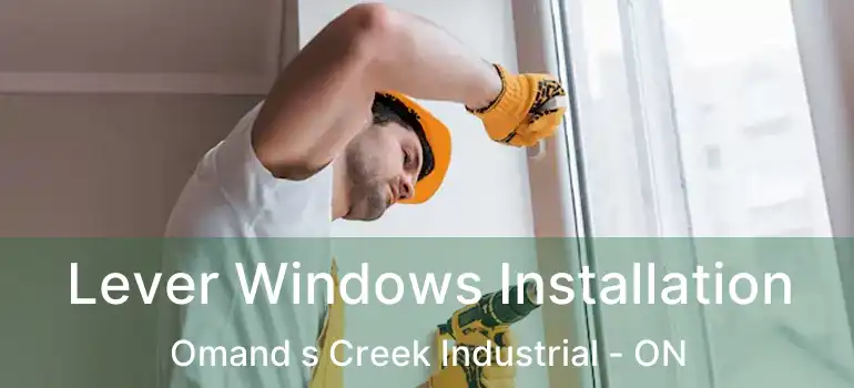  Lever Windows Installation Omand s Creek Industrial - ON