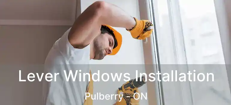  Lever Windows Installation Pulberry - ON