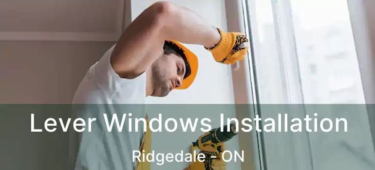  Lever Windows Installation Ridgedale - ON
