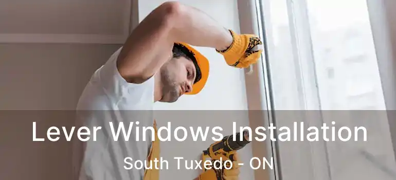 Lever Windows Installation South Tuxedo - ON