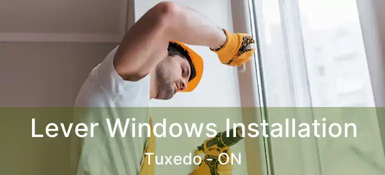  Lever Windows Installation Tuxedo - ON