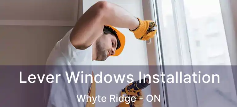  Lever Windows Installation Whyte Ridge - ON