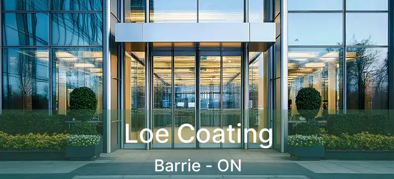  Loe Coating Barrie - ON