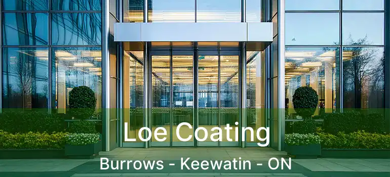  Loe Coating Burrows - Keewatin - ON
