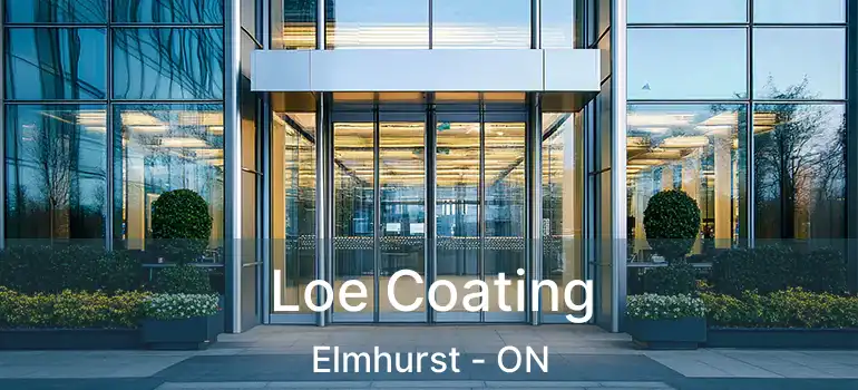  Loe Coating Elmhurst - ON