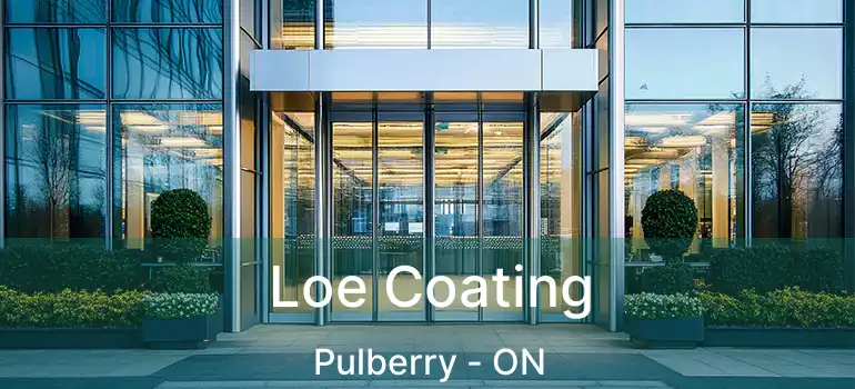  Loe Coating Pulberry - ON