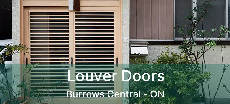 Louver Doors Burrows Central - ON