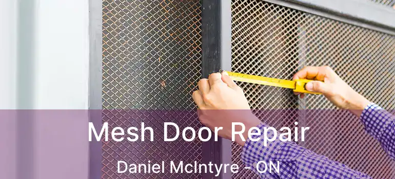  Mesh Door Repair Daniel McIntyre - ON