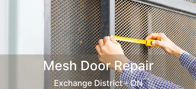  Mesh Door Repair Exchange District - ON