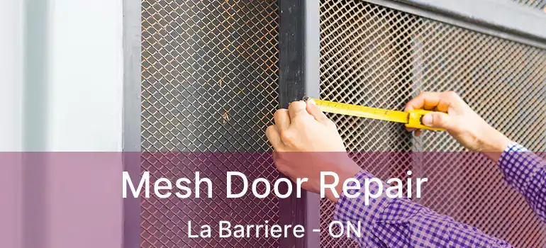  Mesh Door Repair La Barriere - ON