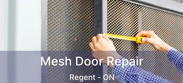  Mesh Door Repair Regent - ON
