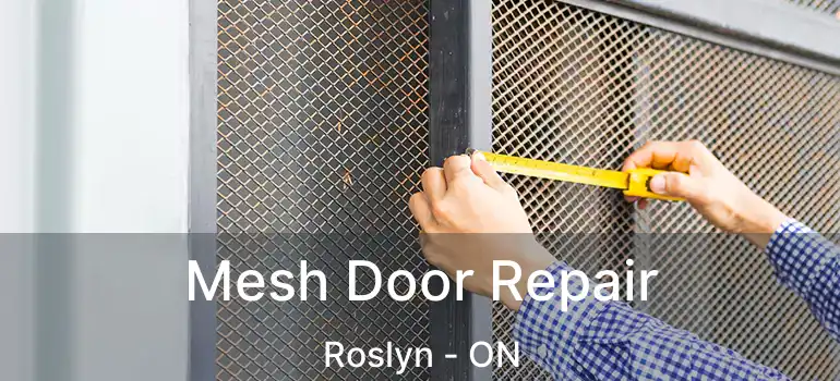  Mesh Door Repair Roslyn - ON