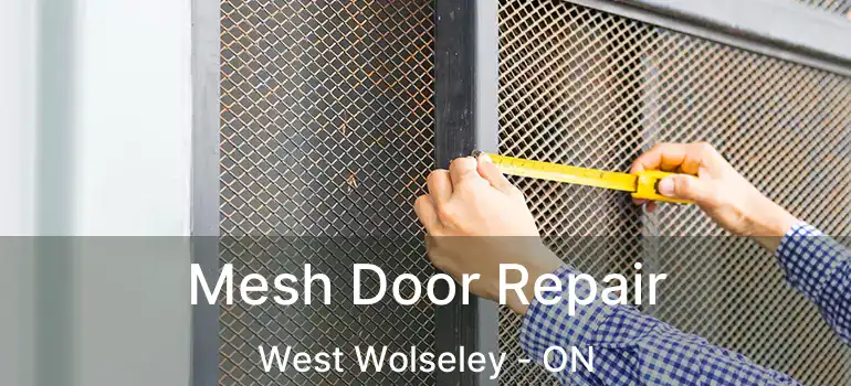  Mesh Door Repair West Wolseley - ON
