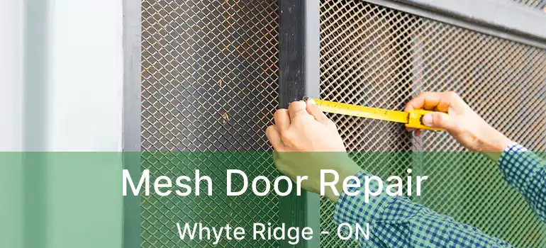  Mesh Door Repair Whyte Ridge - ON
