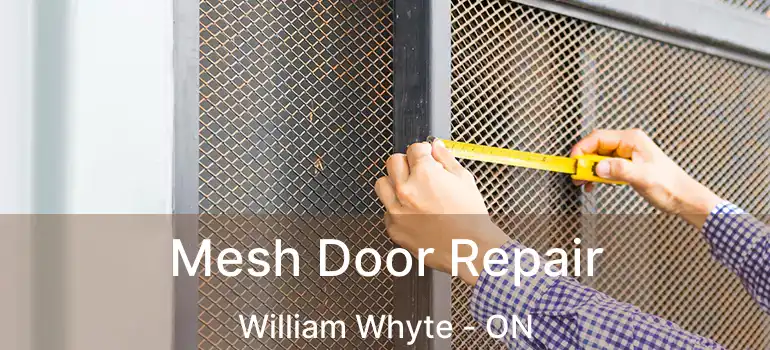  Mesh Door Repair William Whyte - ON