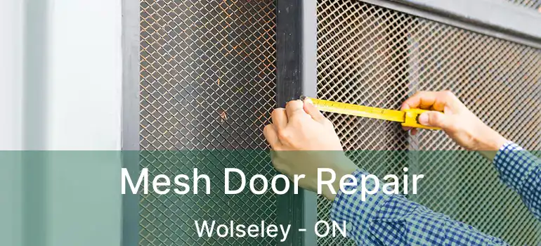  Mesh Door Repair Wolseley - ON