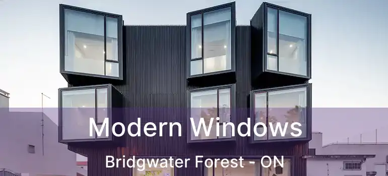  Modern Windows Bridgwater Forest - ON