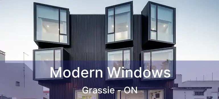  Modern Windows Grassie - ON