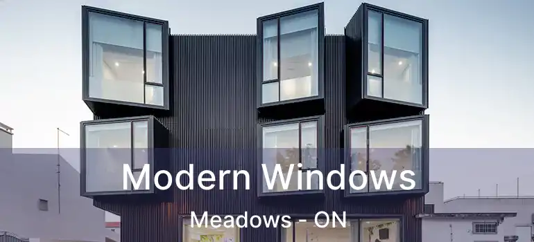  Modern Windows Meadows - ON