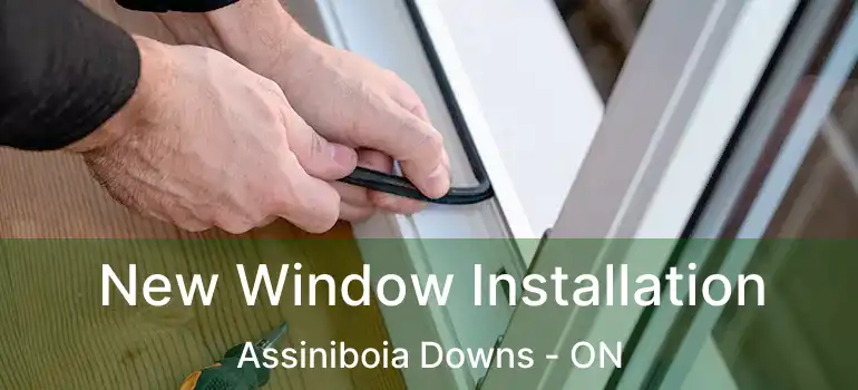  New Window Installation Assiniboia Downs - ON