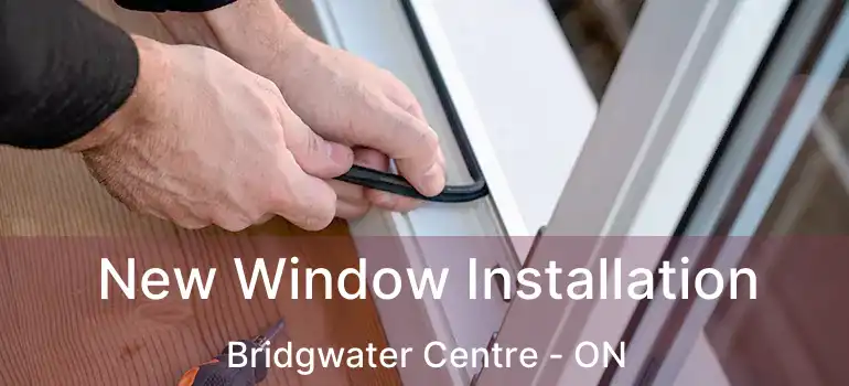  New Window Installation Bridgwater Centre - ON