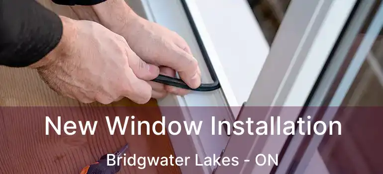  New Window Installation Bridgwater Lakes - ON