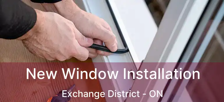  New Window Installation Exchange District - ON