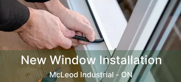  New Window Installation McLeod Industrial - ON