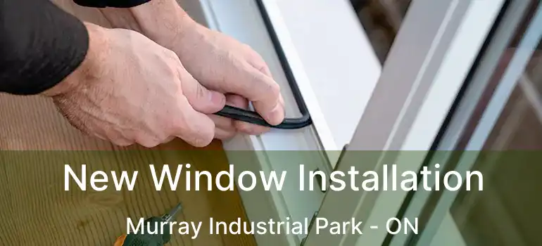  New Window Installation Murray Industrial Park - ON