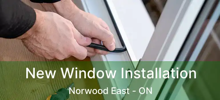  New Window Installation Norwood East - ON