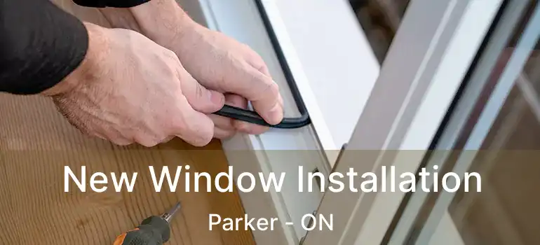  New Window Installation Parker - ON