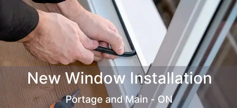  New Window Installation Portage and Main - ON