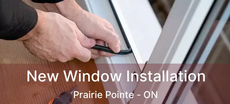  New Window Installation Prairie Pointe - ON