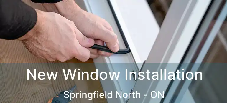  New Window Installation Springfield North - ON