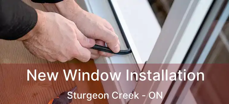  New Window Installation Sturgeon Creek - ON