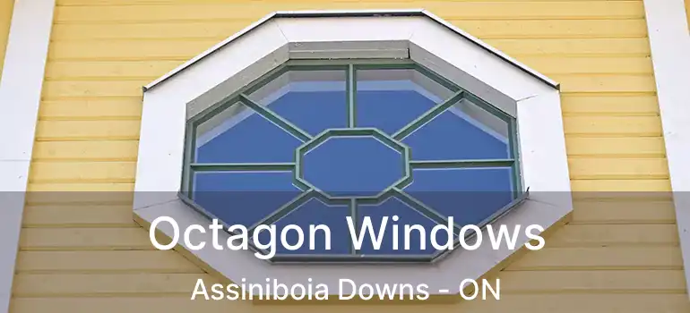  Octagon Windows Assiniboia Downs - ON