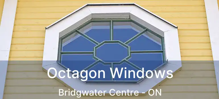  Octagon Windows Bridgwater Centre - ON