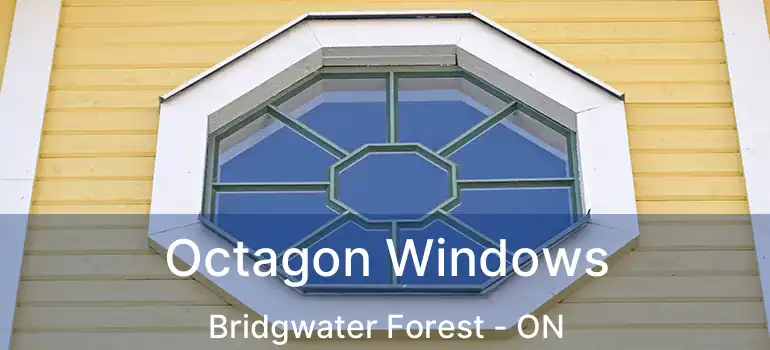  Octagon Windows Bridgwater Forest - ON