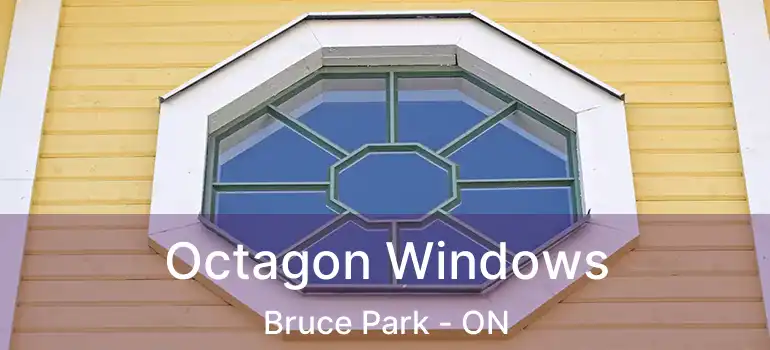  Octagon Windows Bruce Park - ON