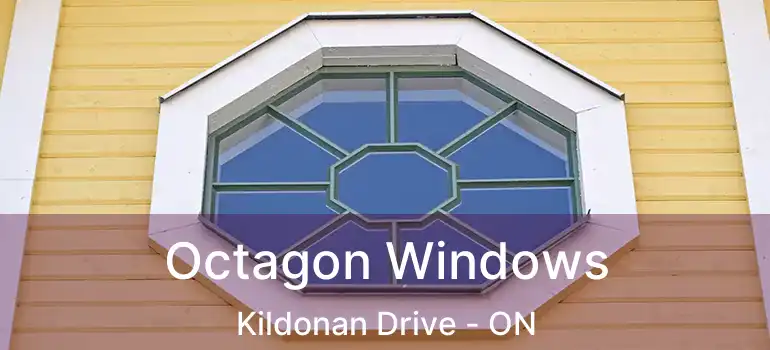  Octagon Windows Kildonan Drive - ON