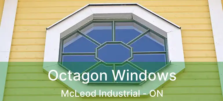  Octagon Windows McLeod Industrial - ON