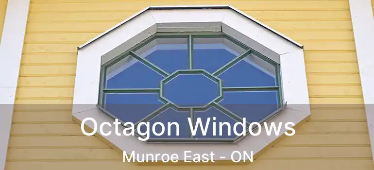  Octagon Windows Munroe East - ON