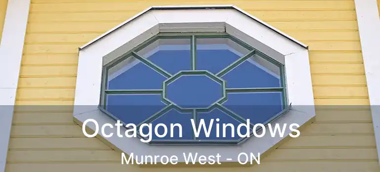  Octagon Windows Munroe West - ON