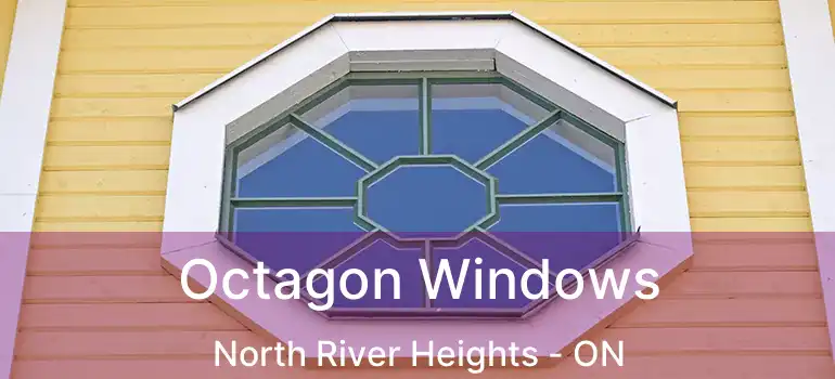  Octagon Windows North River Heights - ON