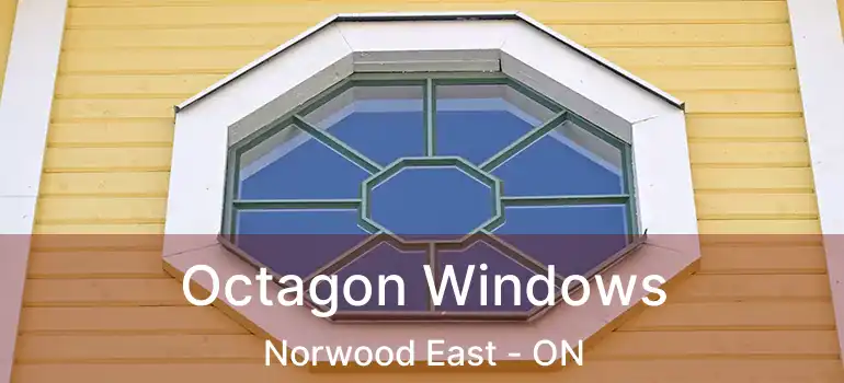  Octagon Windows Norwood East - ON